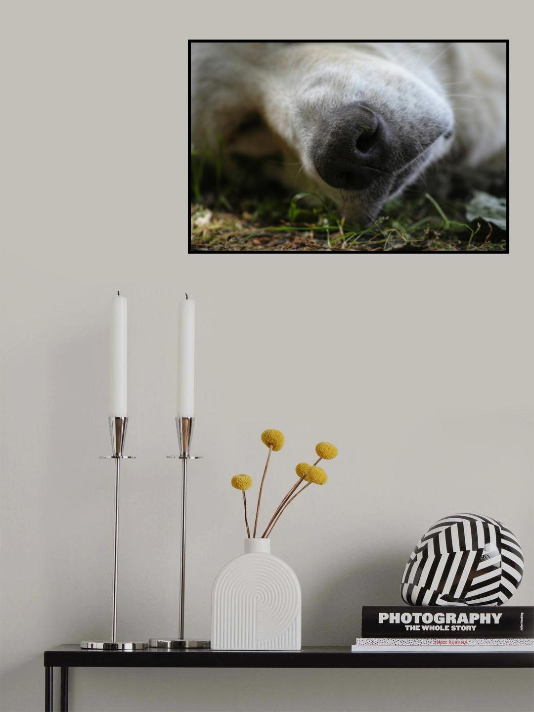 Sleeping Dog Poster och Canvastavla