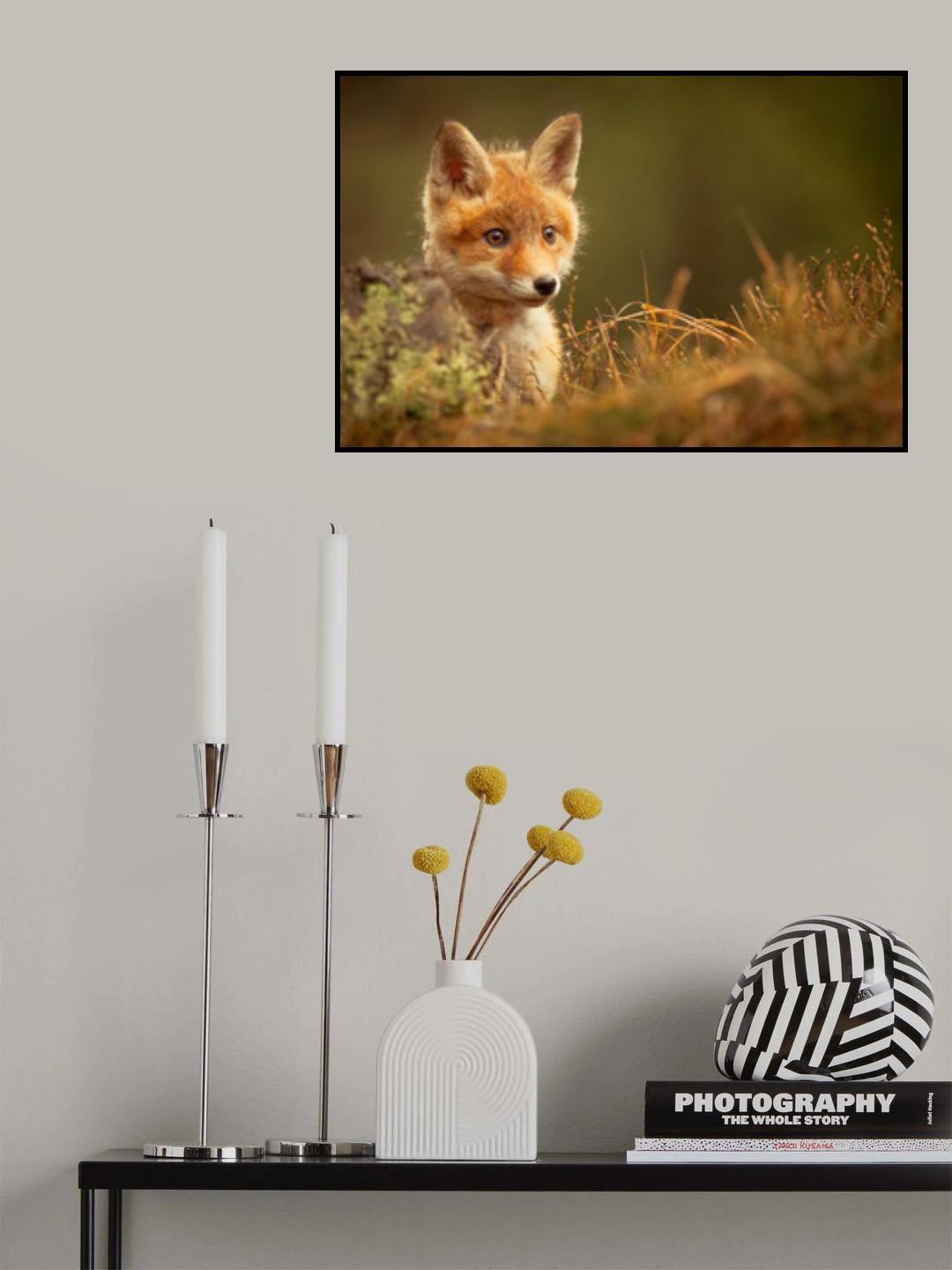 Fox Poster och Canvastavla