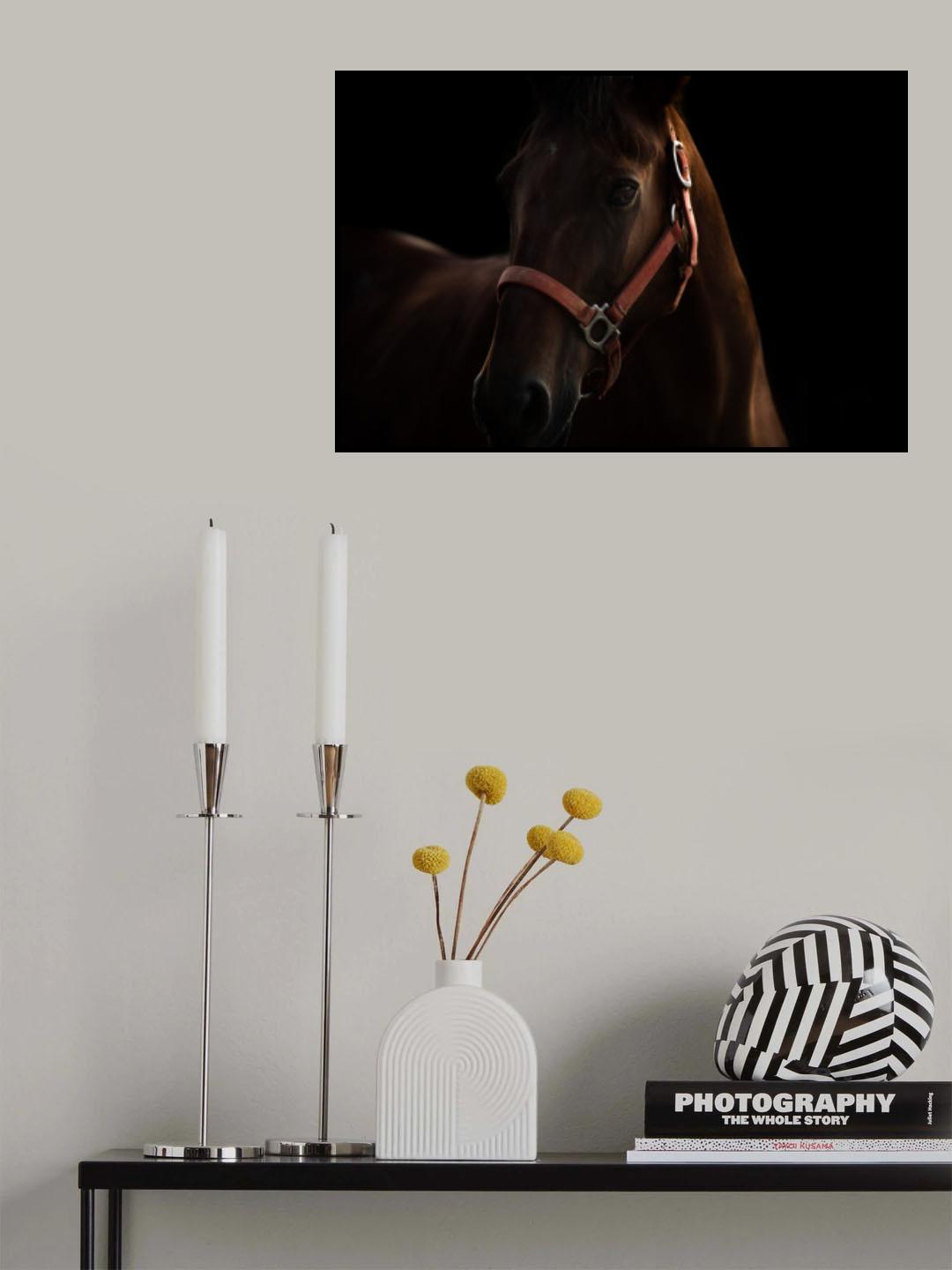 Horse Poster och Canvastavla