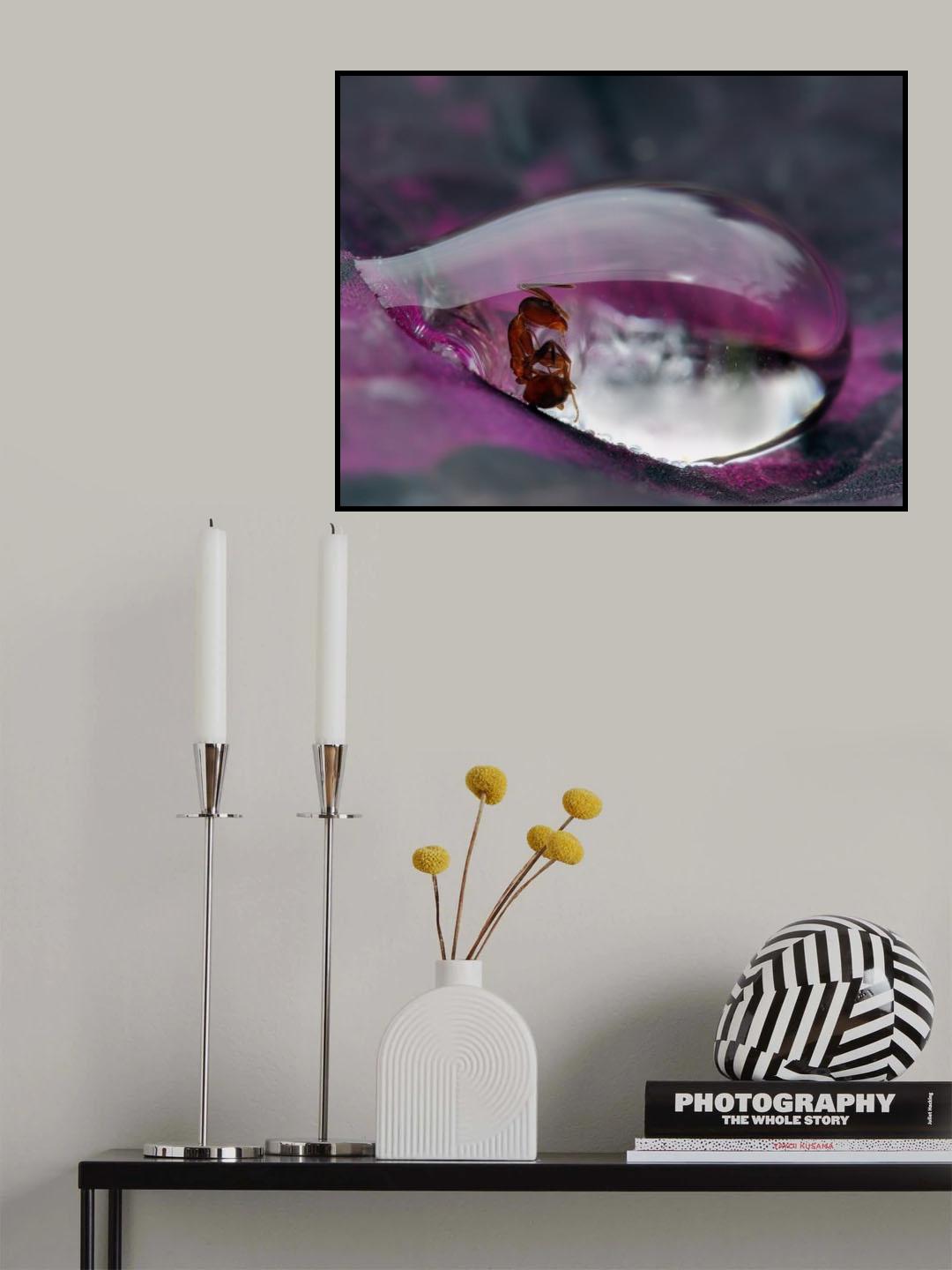 Caught in a droplet Poster och Canvastavla