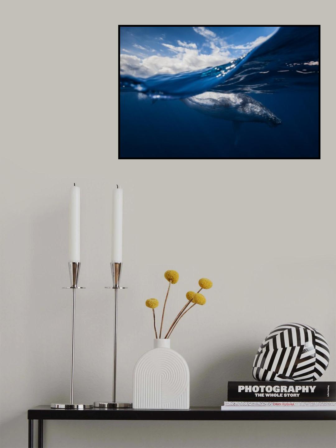 Humpback whale and the sky Poster och Canvastavla