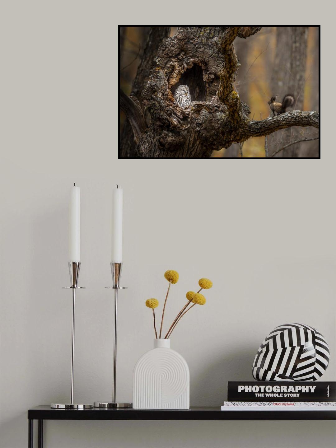 An Owl & a squirrel Poster och Canvastavla