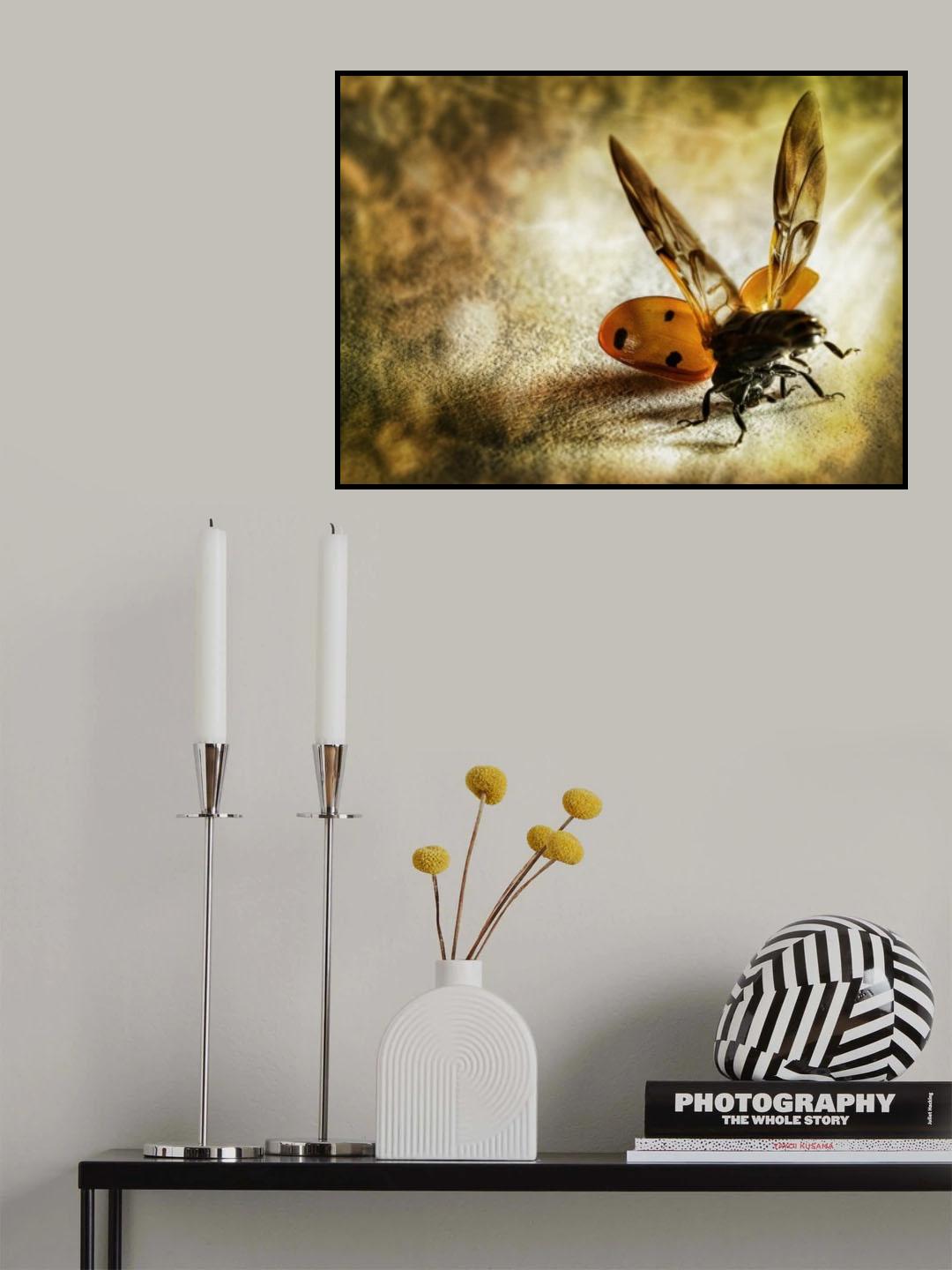 lady bug acrobat Poster och Canvastavla