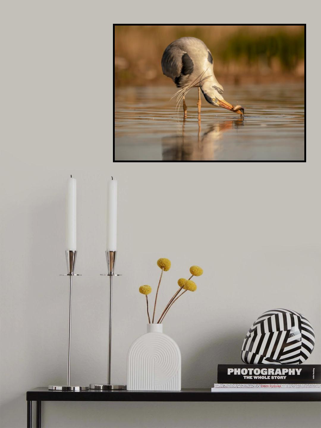 bird fishing Poster och Canvastavla
