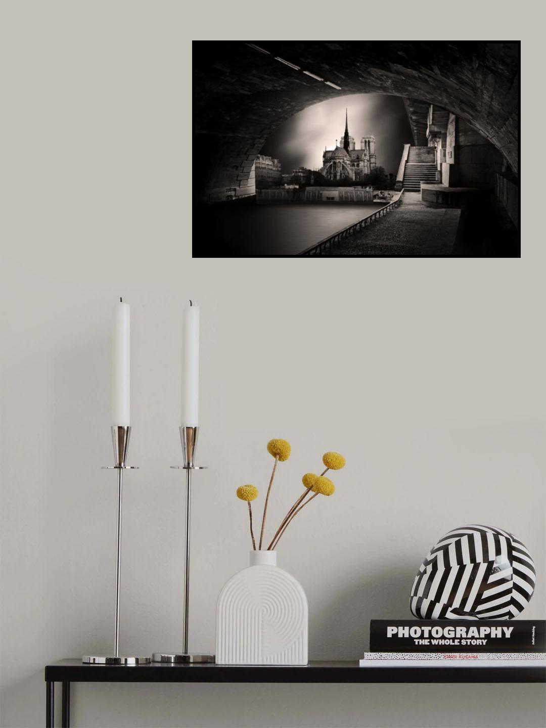 au milieu , coule la Seine ! Poster och Canvastavla