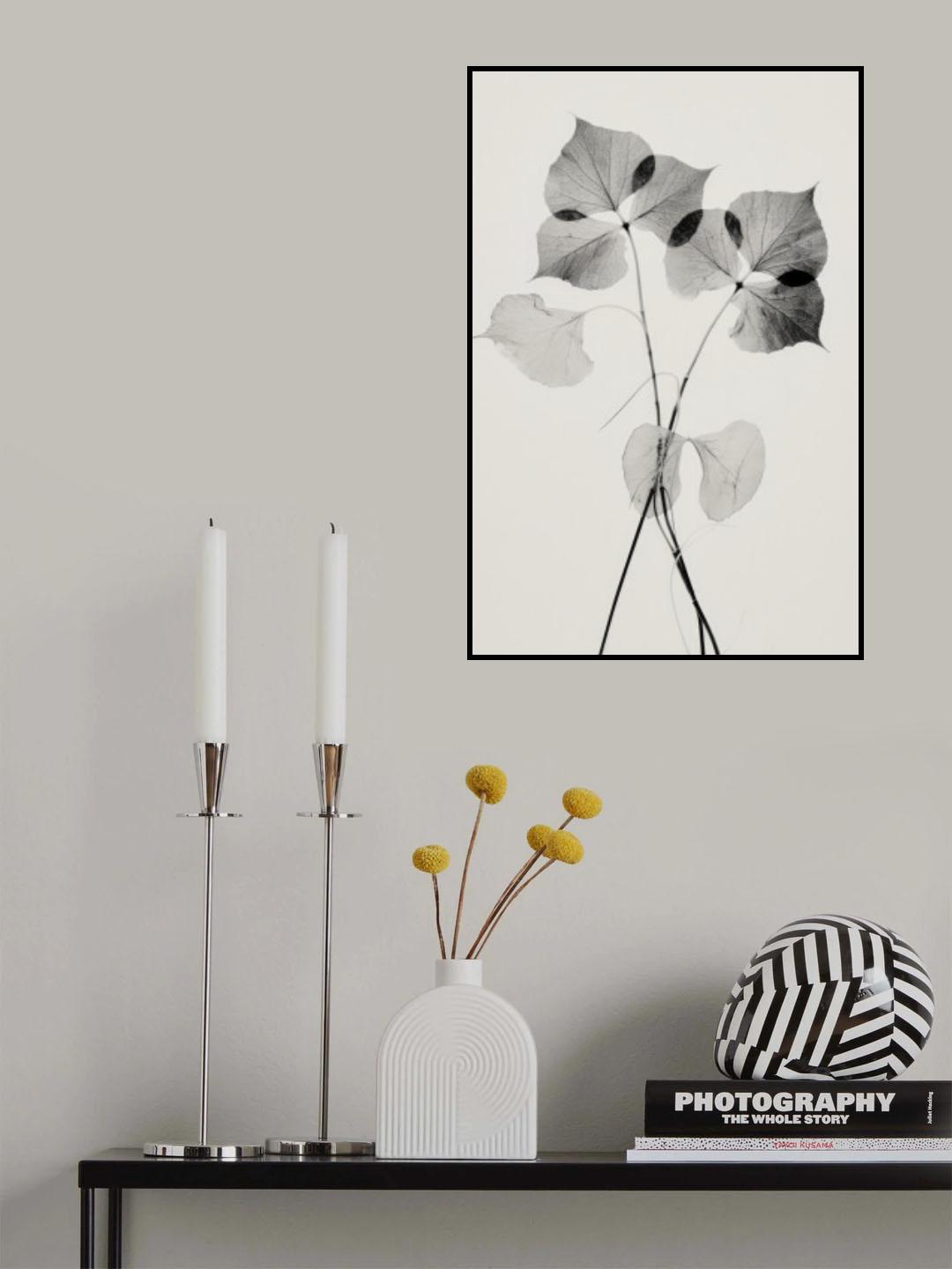 Transparent Botanic No 2 Poster och Canvastavla