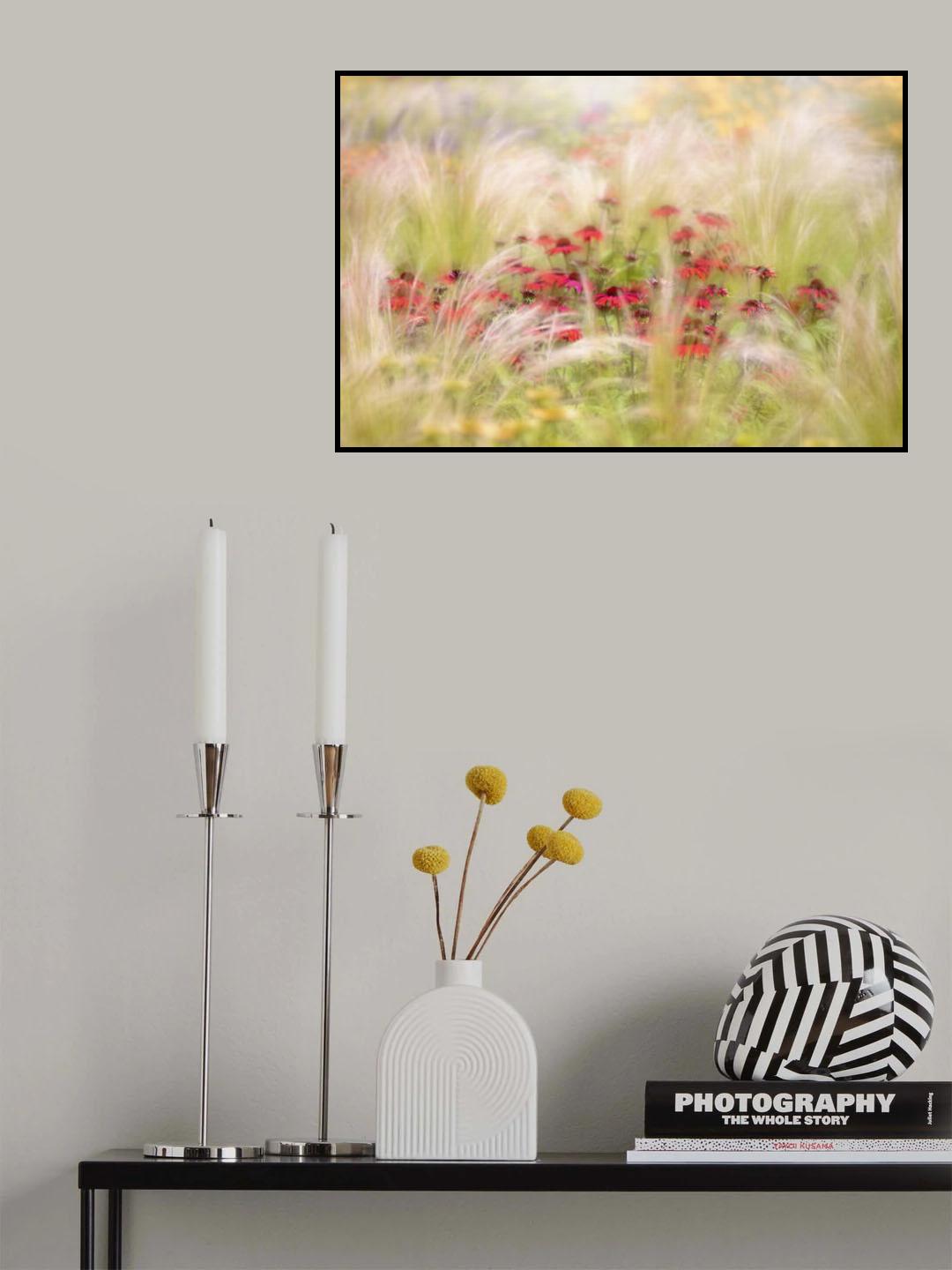 Rudbeckia Poster och Canvastavla