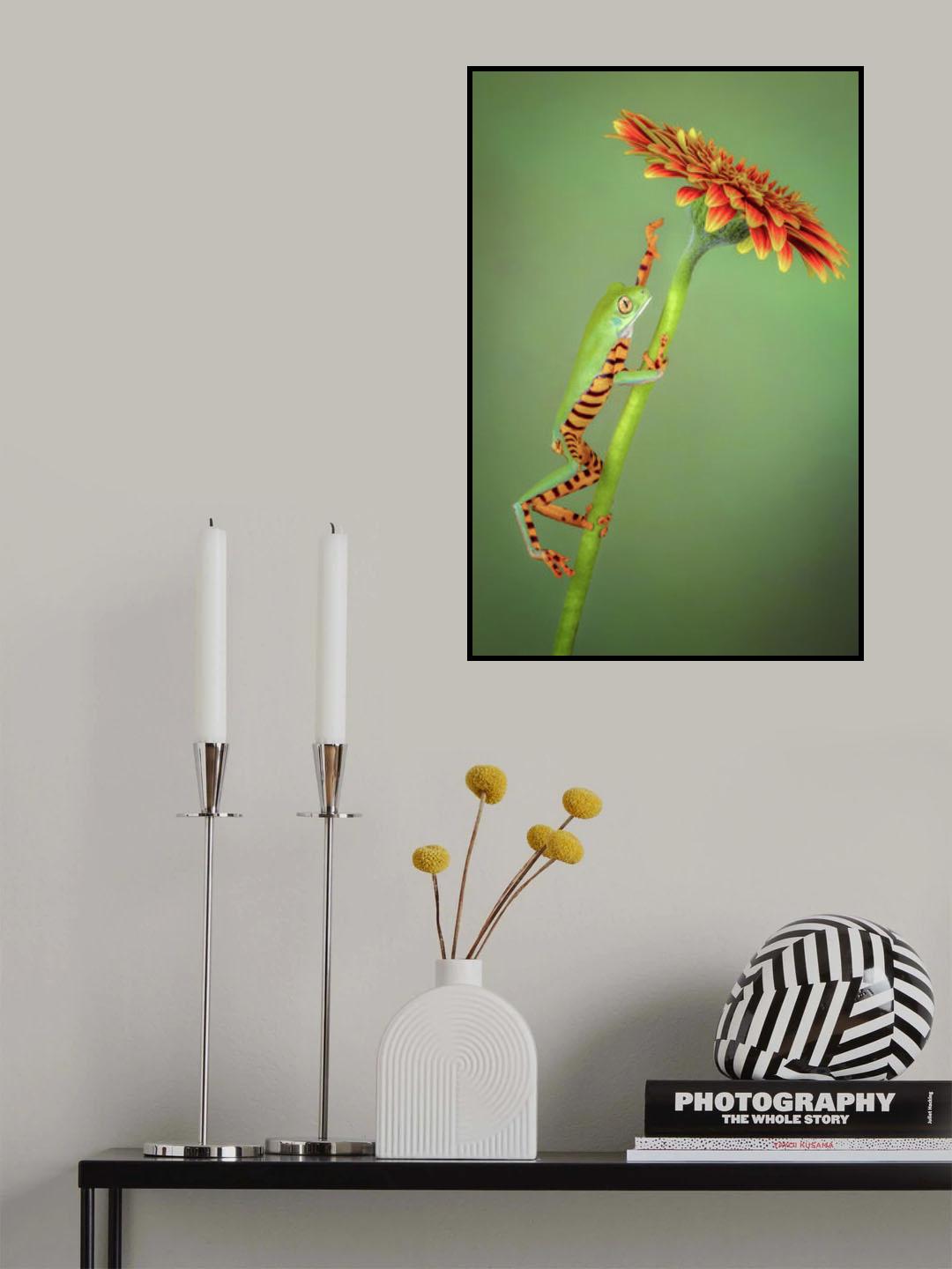 The Climber Poster och Canvastavla