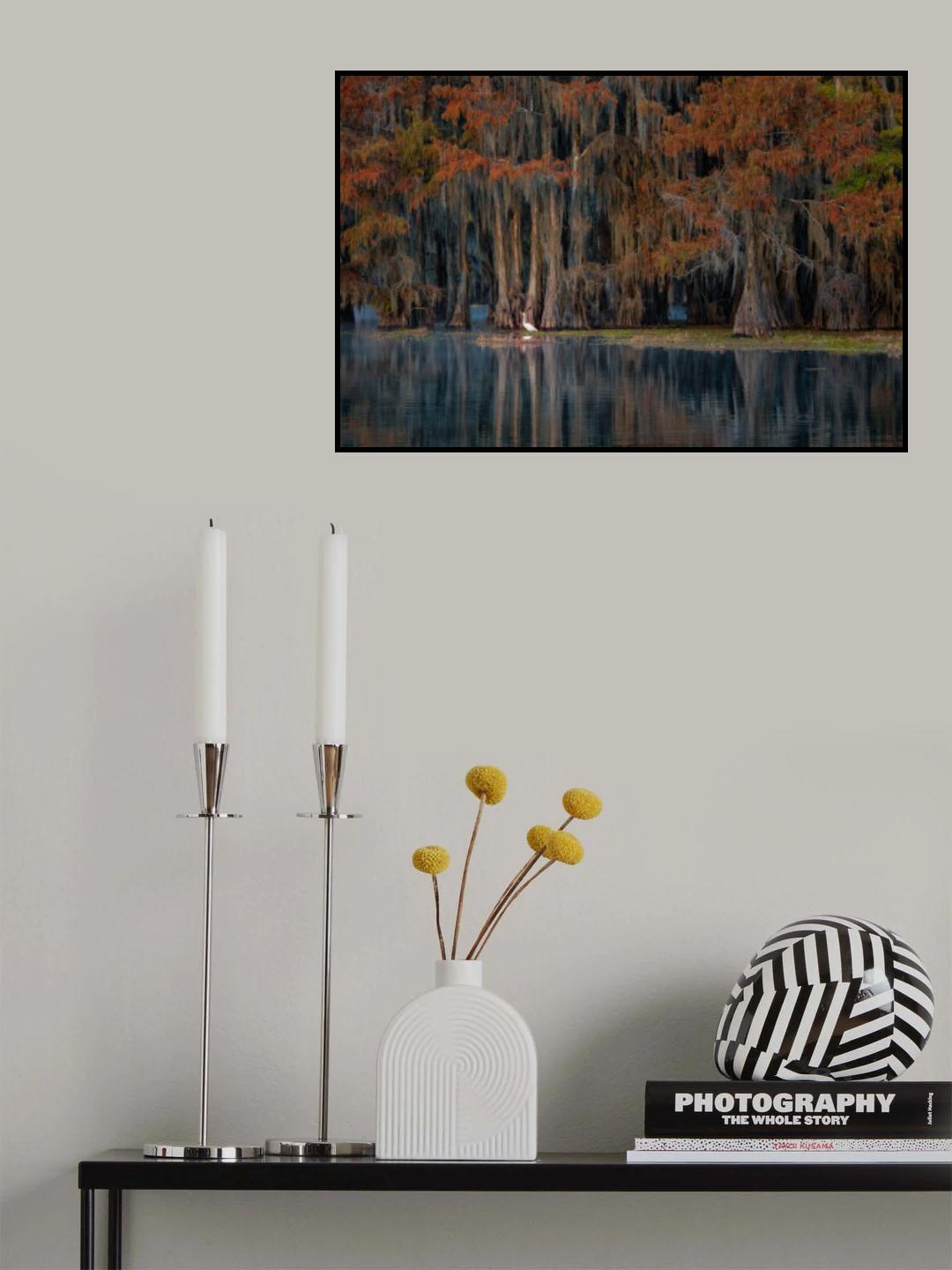 The swamp in autumn Poster och Canvastavla