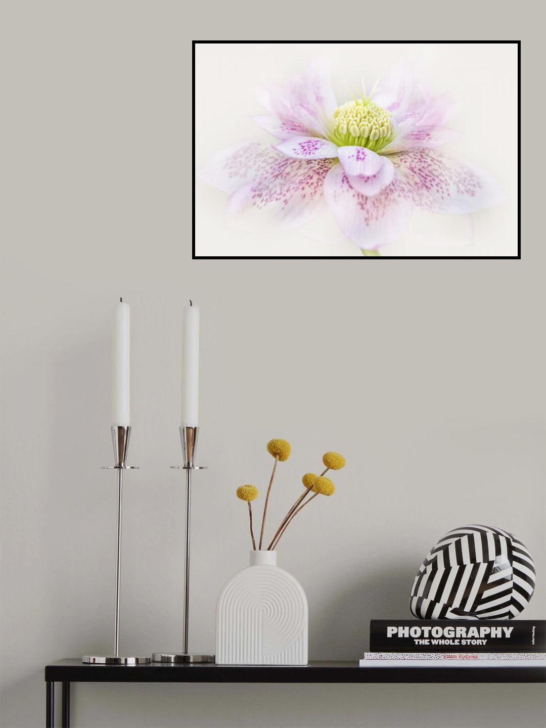 Forever Spring Poster och Canvastavla