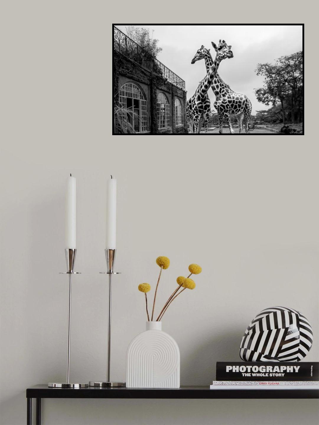 The Girafferaffe Manor Poster och Canvastavla