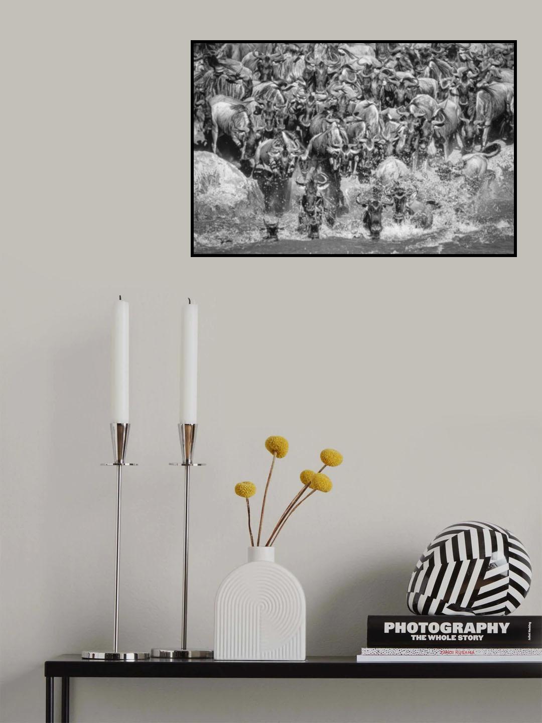 The Crossing Poster och Canvastavla
