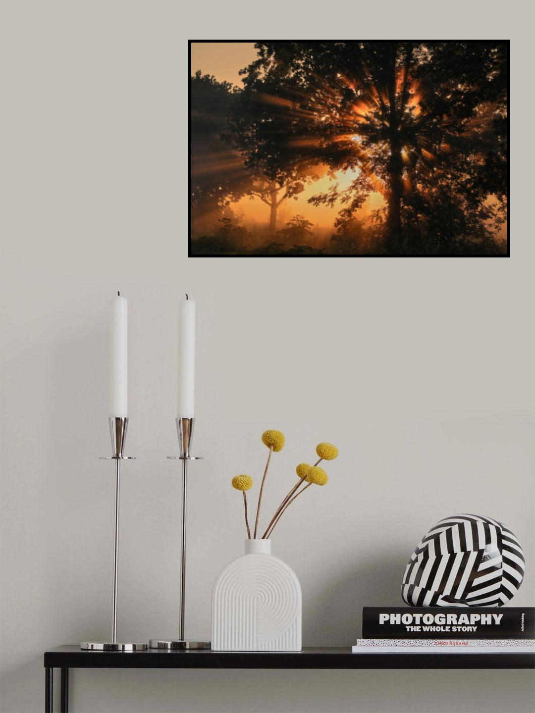 Burning tree Poster och Canvastavla