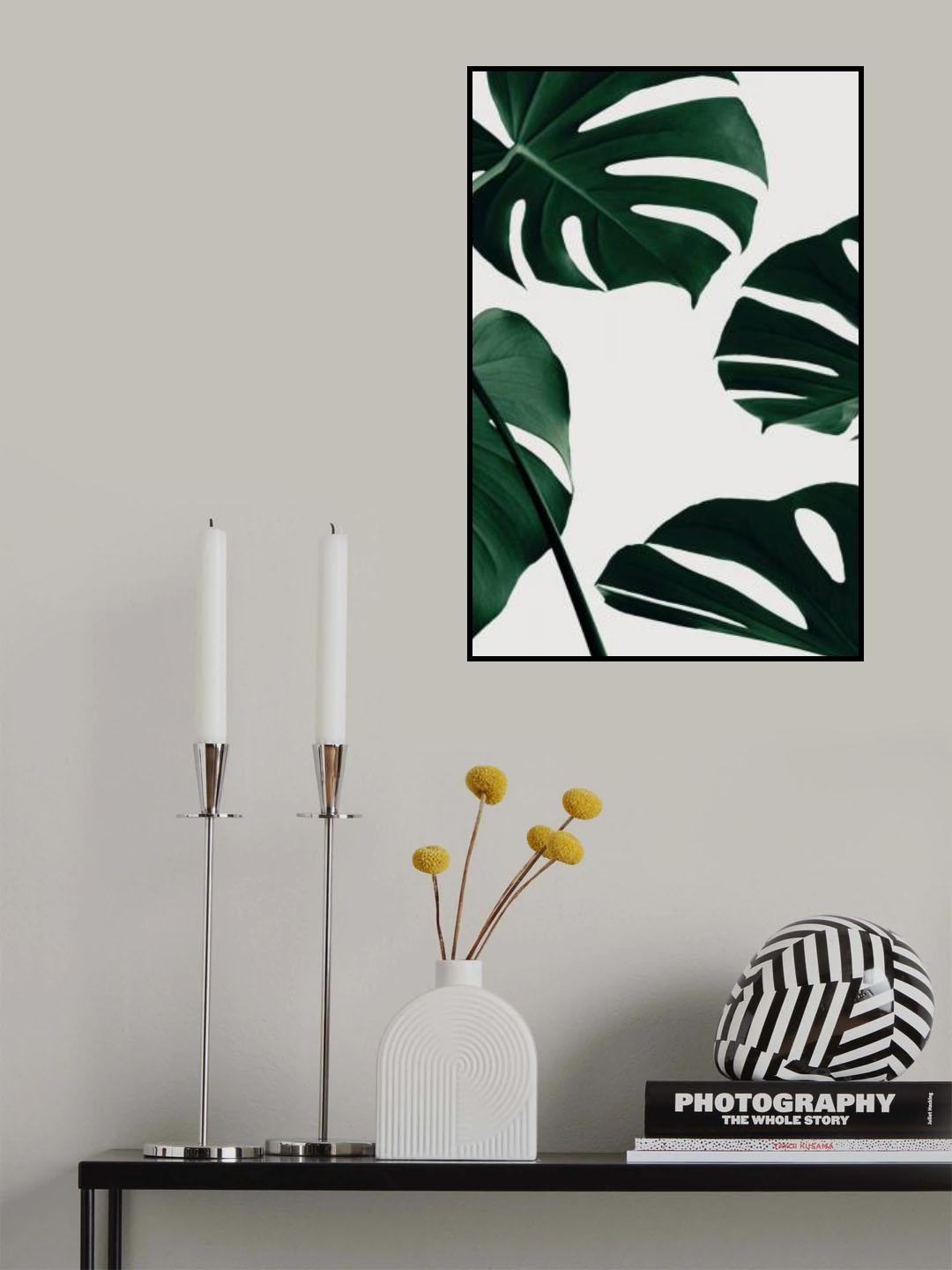 Monstera Natural 20 Poster och Canvastavla