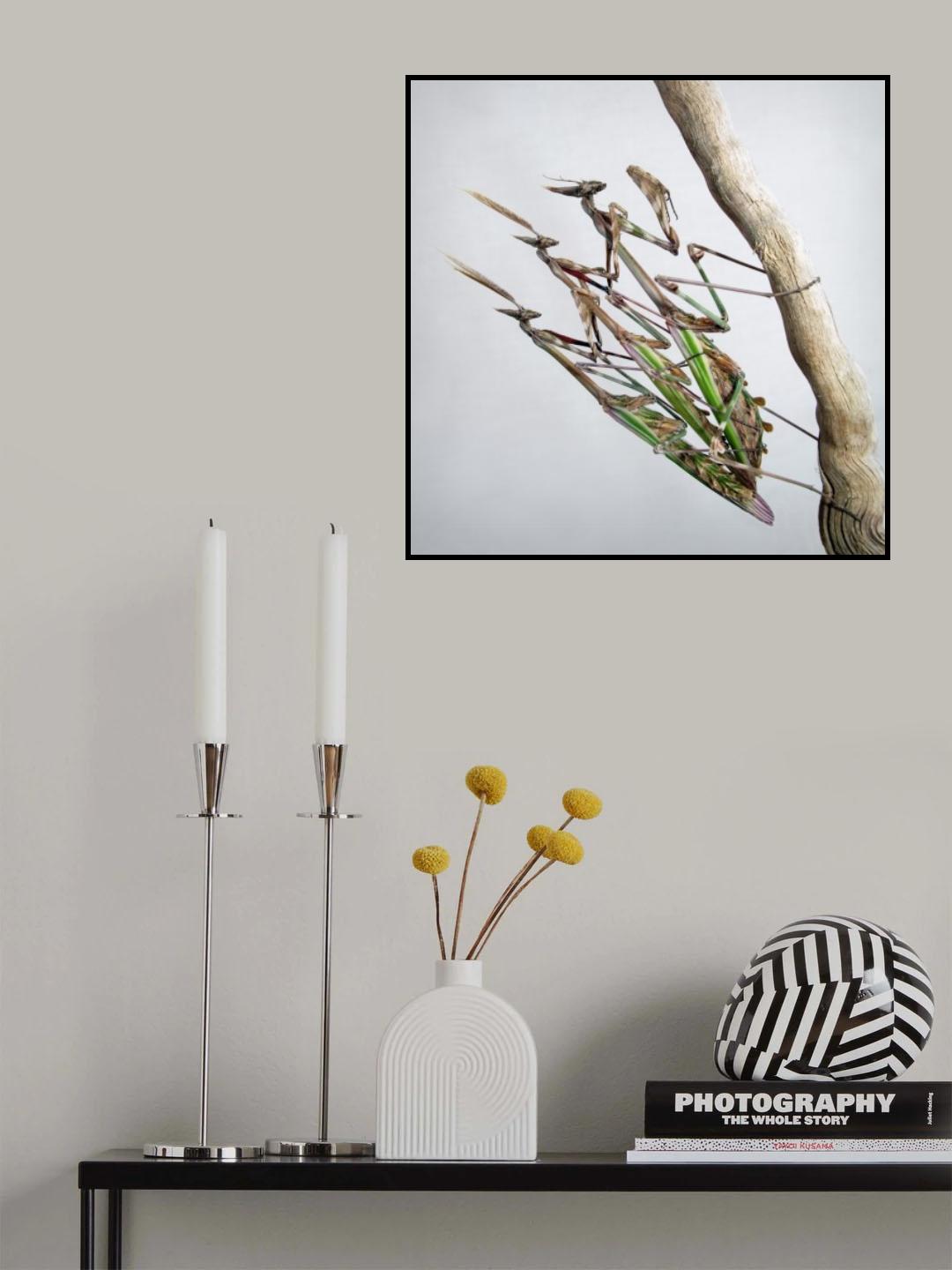 Trio Poster och Canvastavla