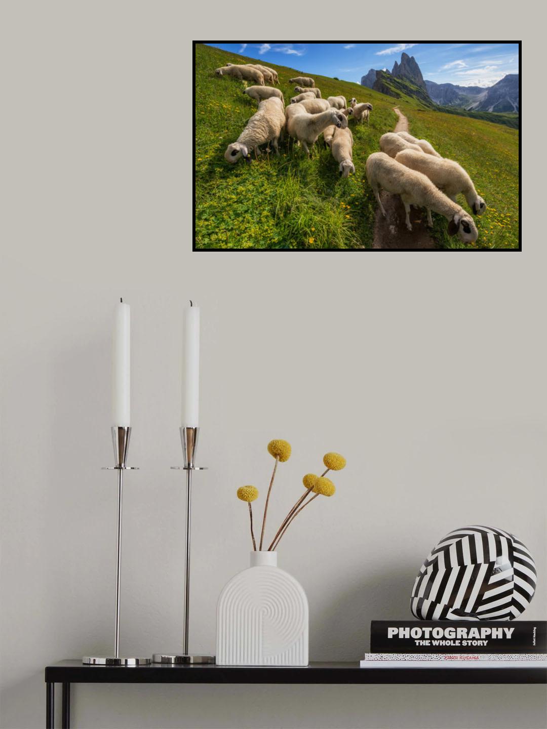 On the way to Odle mountains Poster och Canvastavla