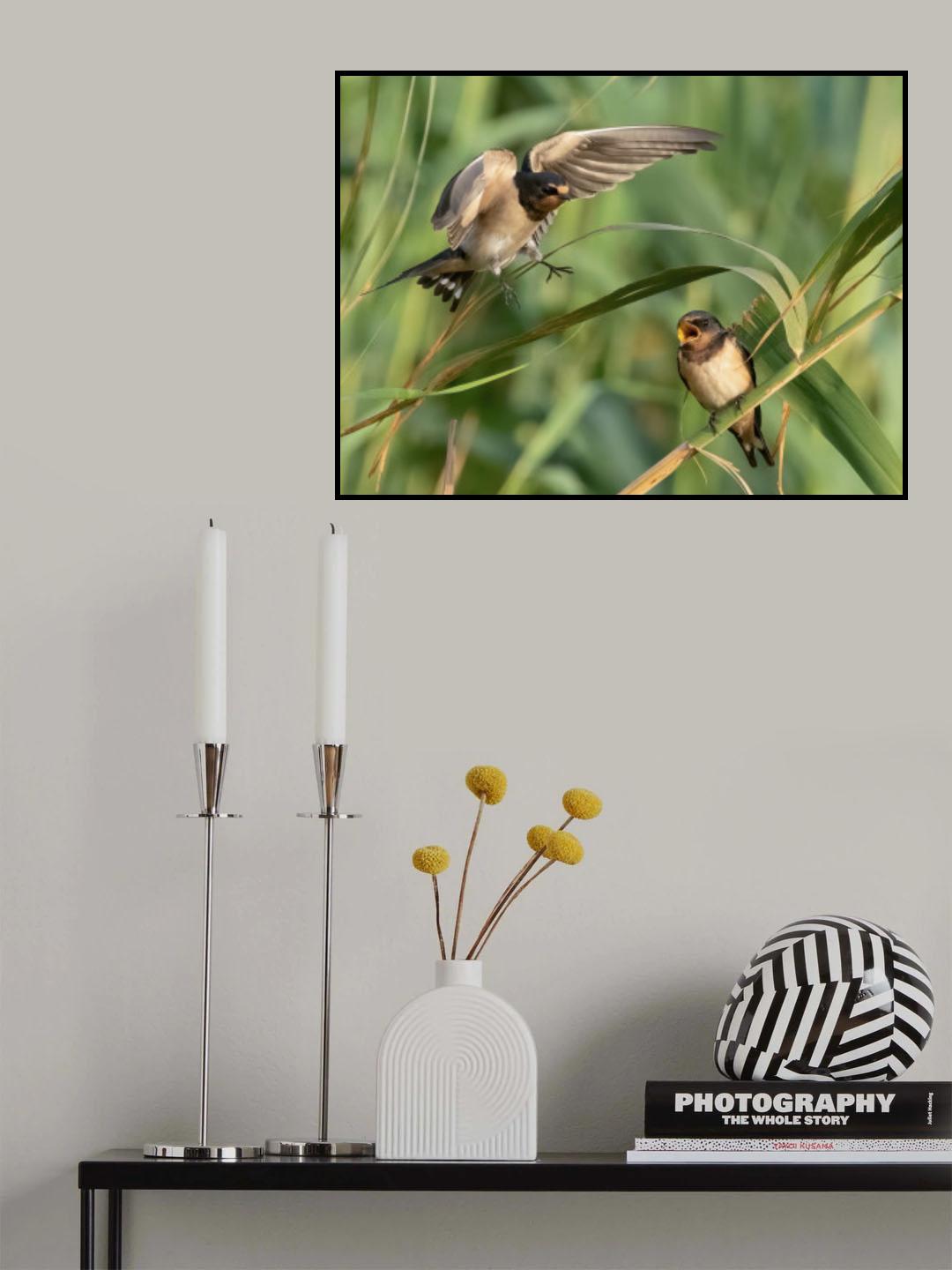 Interaction Poster och Canvastavla