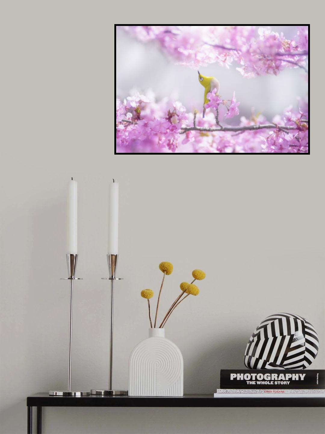 Zosterops japonicus Poster och Canvastavla