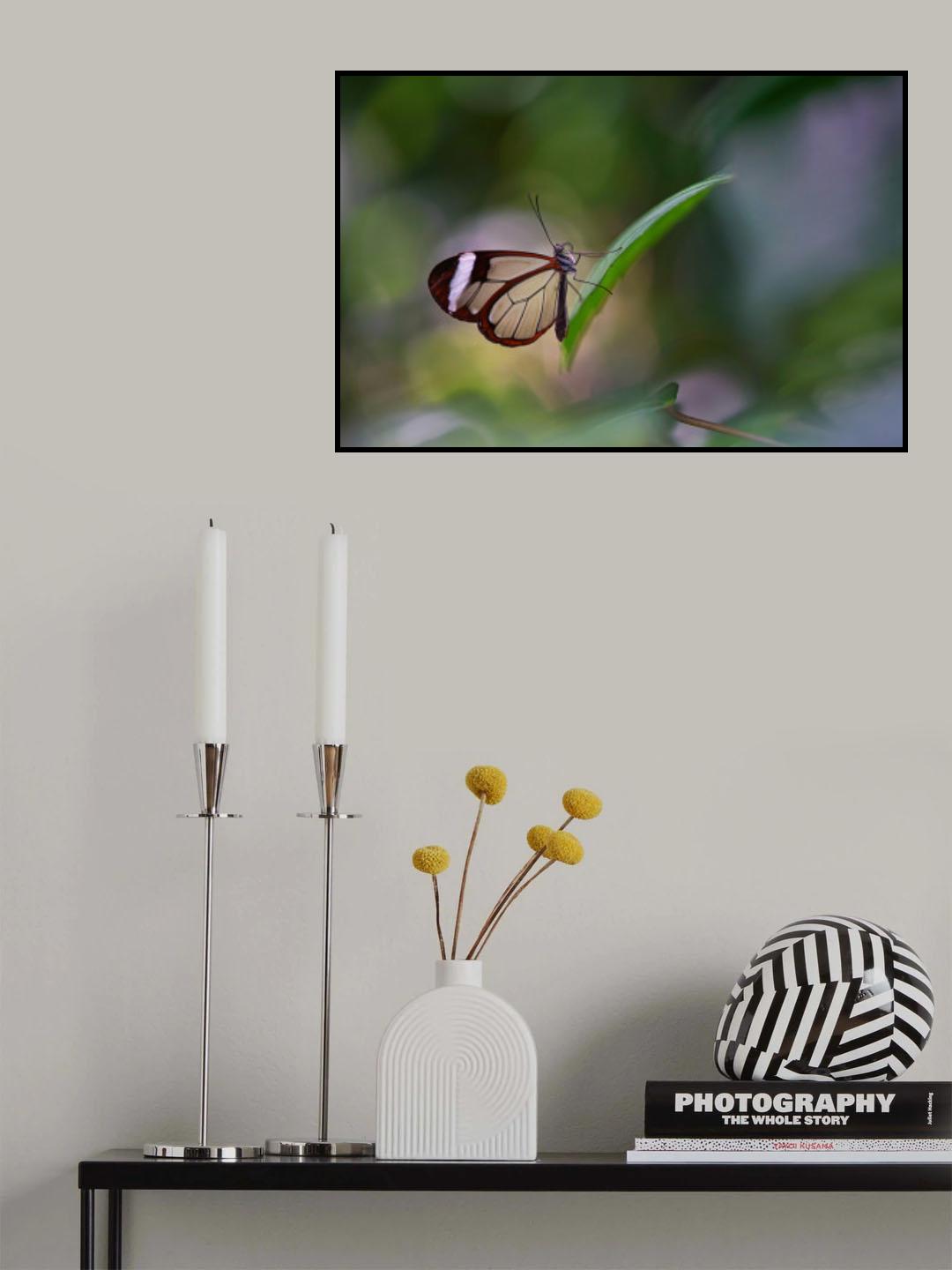 Bachelordom.jpg Poster och Canvastavla