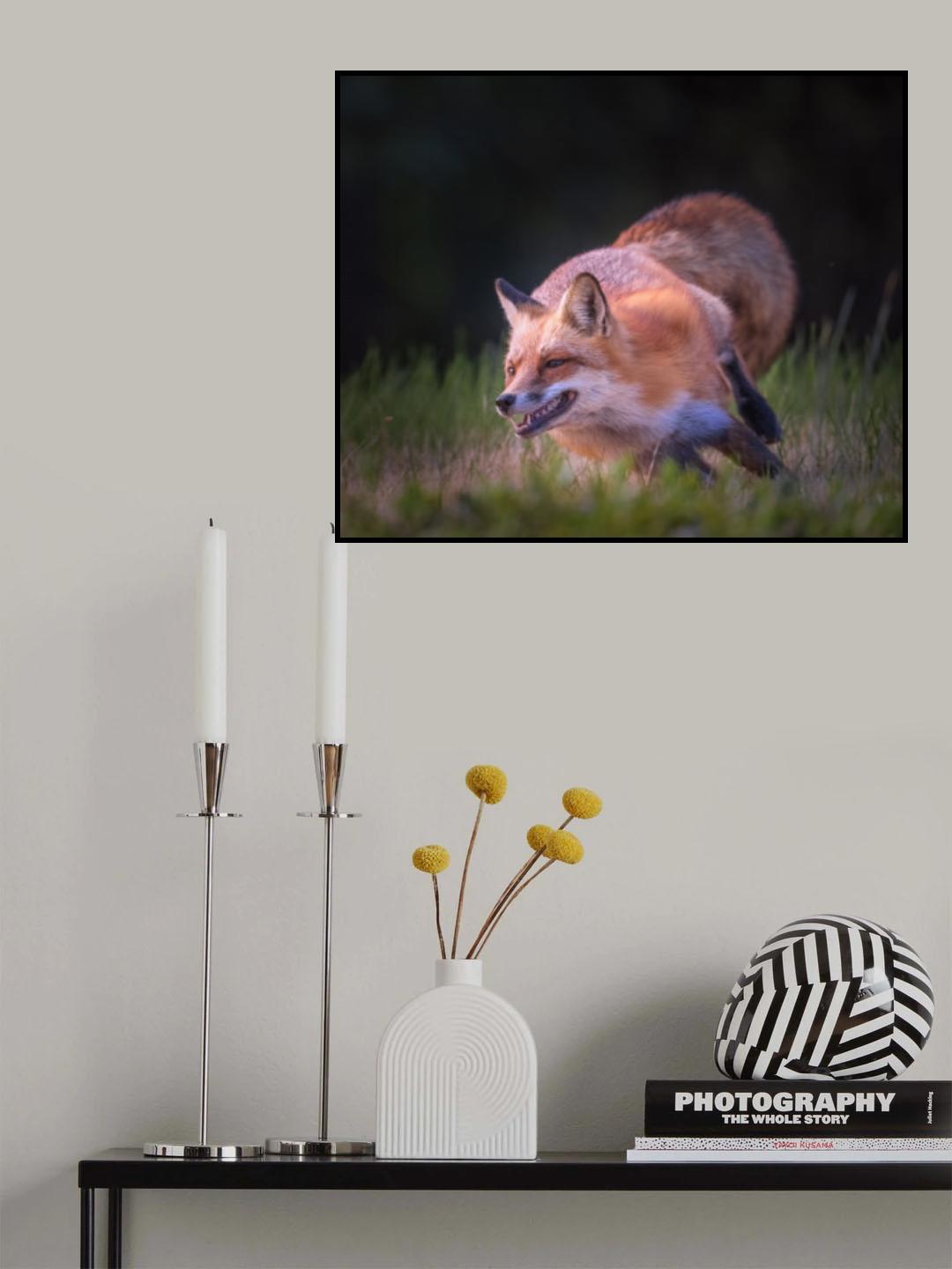 Running Fox Poster och Canvastavla