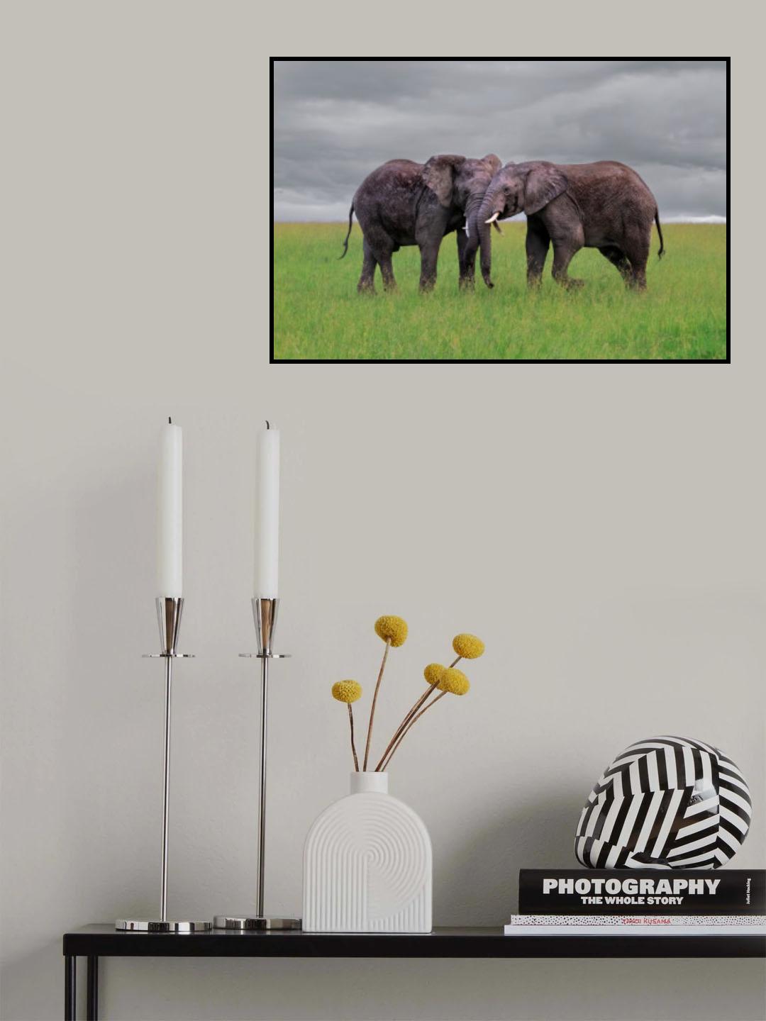 Elephant Tai Chi Push Poster och Canvastavla