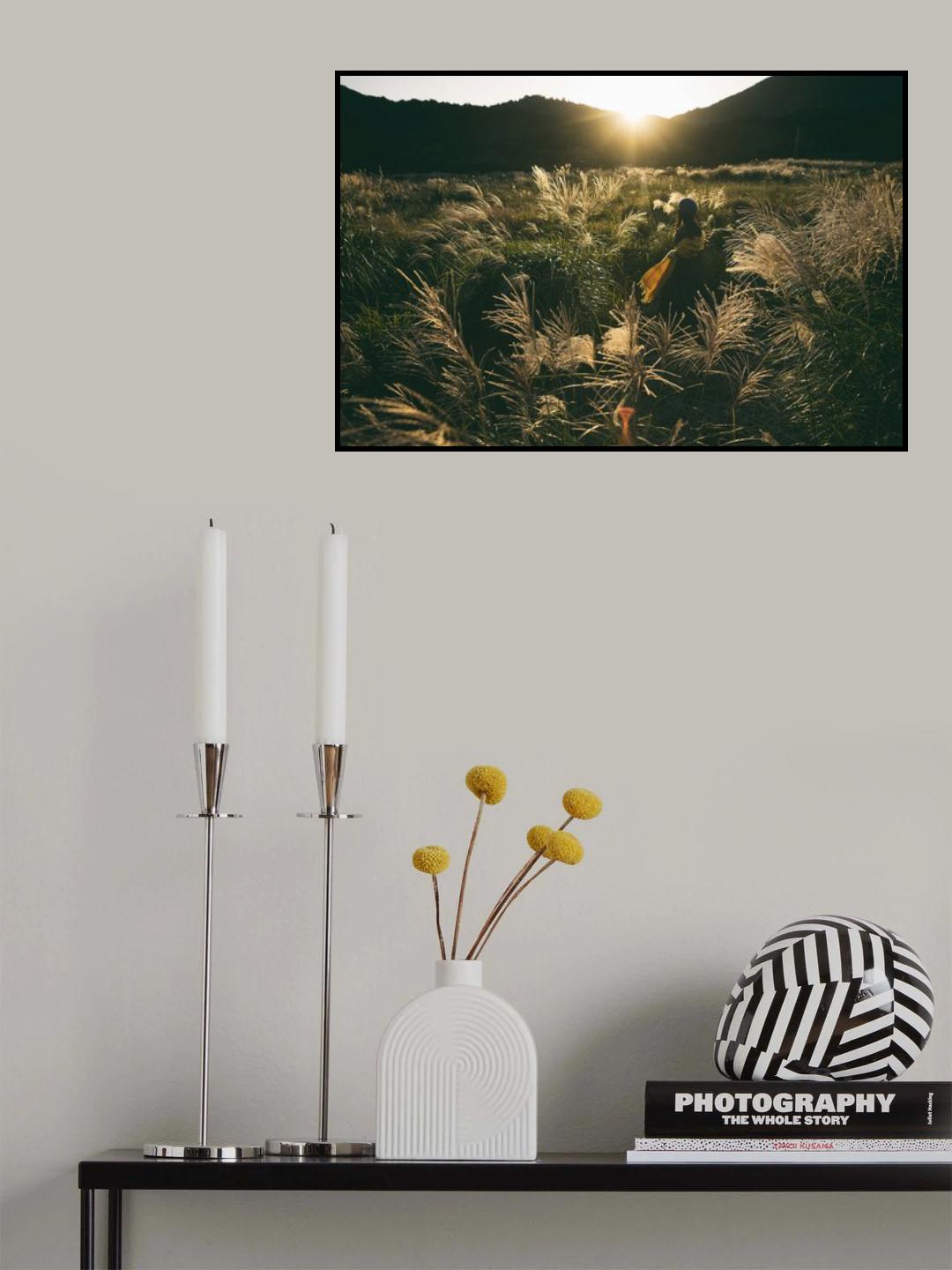 Adventurer Poster och Canvastavla