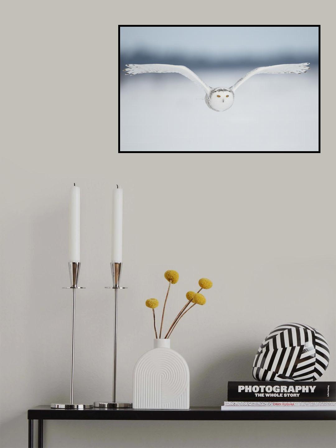 Close to the lens Poster och Canvastavla