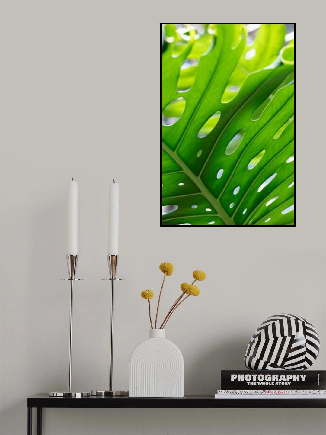 Graphic Leaf_1 Poster och Canvastavla