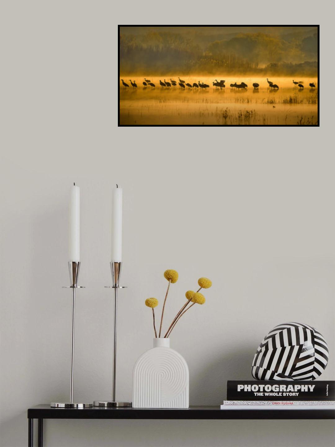 Adventure starts at Sunrise Poster och Canvastavla