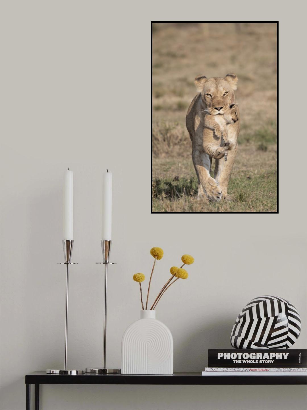 Collecting Strays Poster och Canvastavla