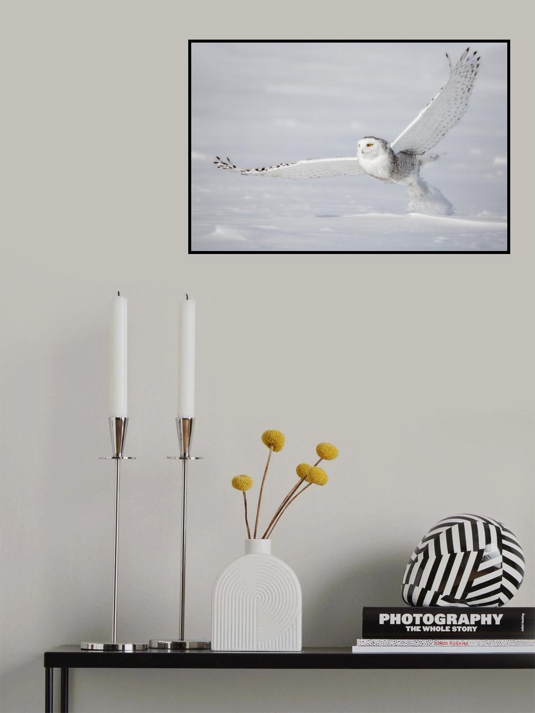 Spread You Wings ! Poster och Canvastavla