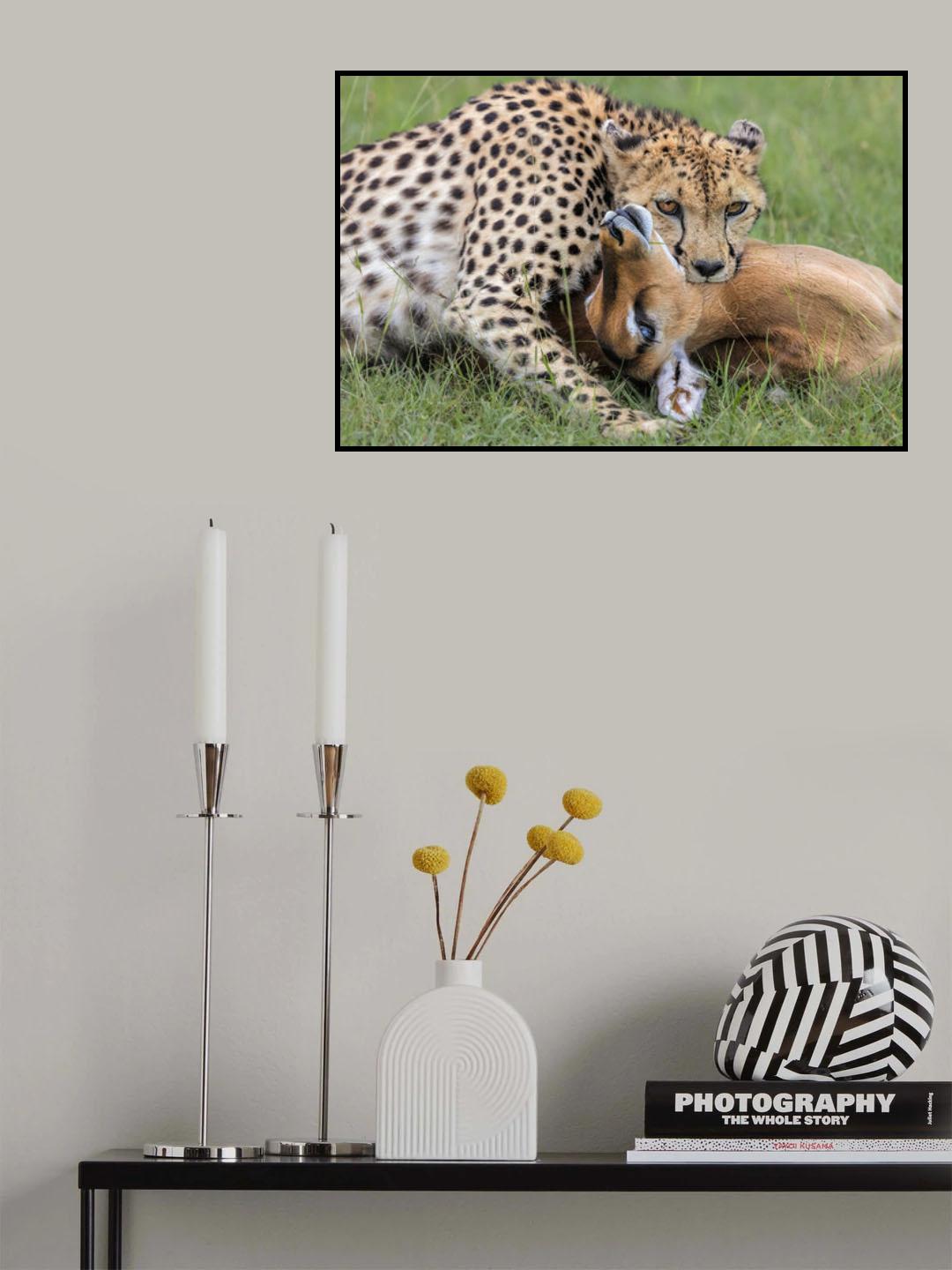 Hunting Down Poster och Canvastavla