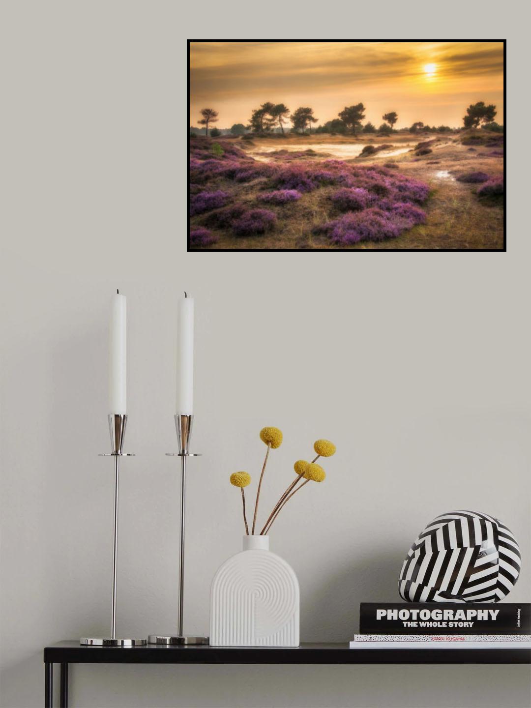 Heather in bloom Poster och Canvastavla