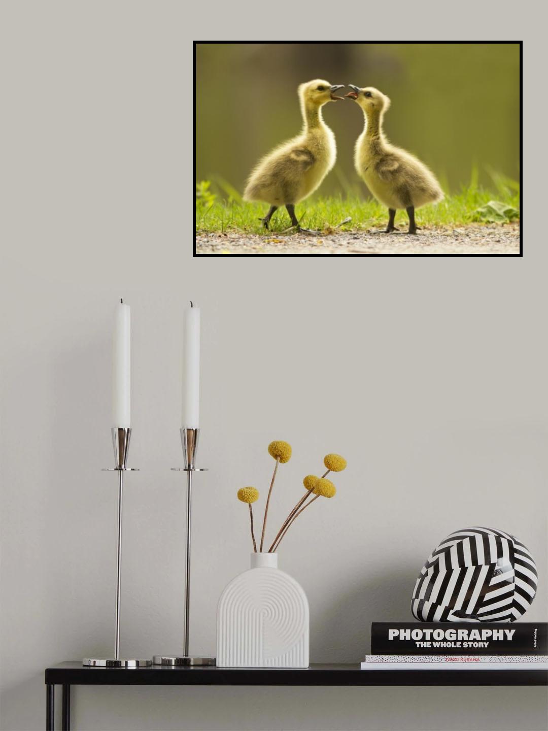 I\'m the big brother ! Poster och Canvastavla