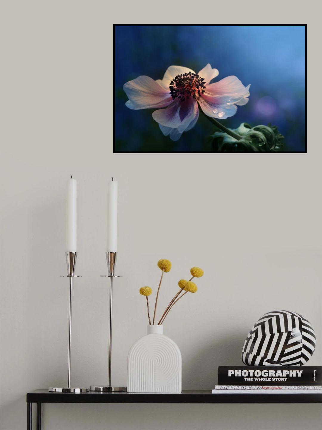 Blue velvet Poster och Canvastavla
