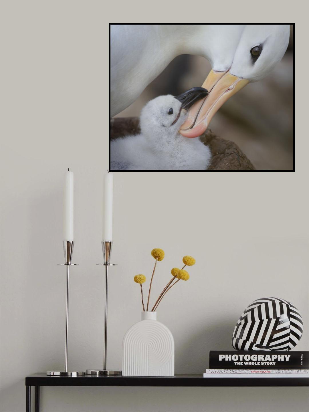Touch Poster och Canvastavla