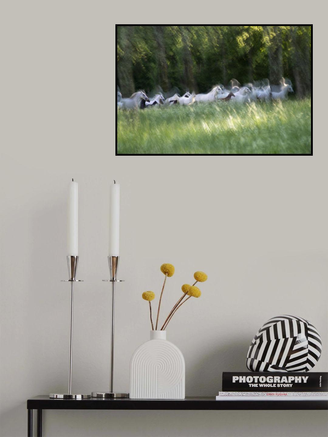Spring gallop Poster och Canvastavla