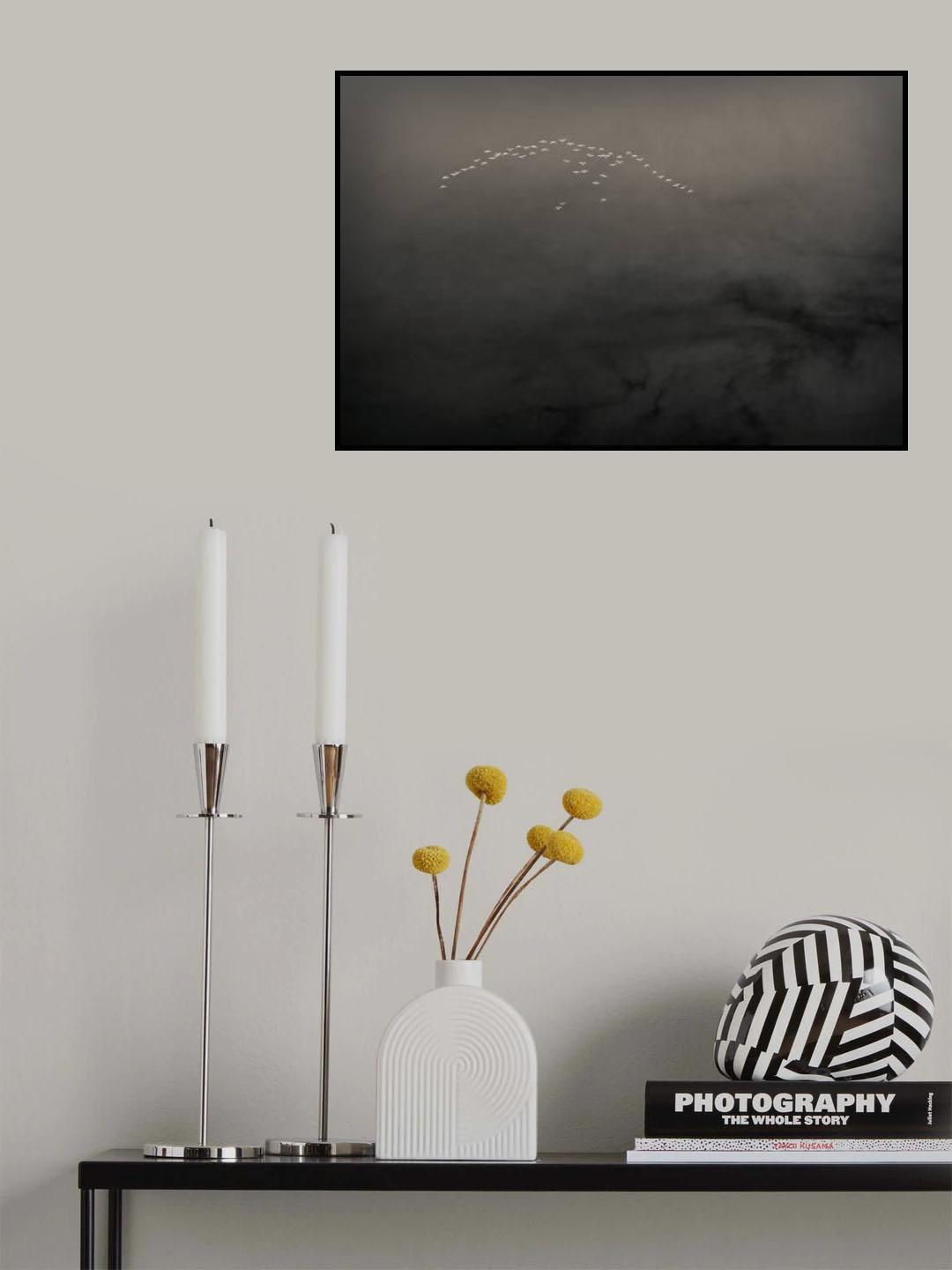 Solaris Reflections Poster och Canvastavla