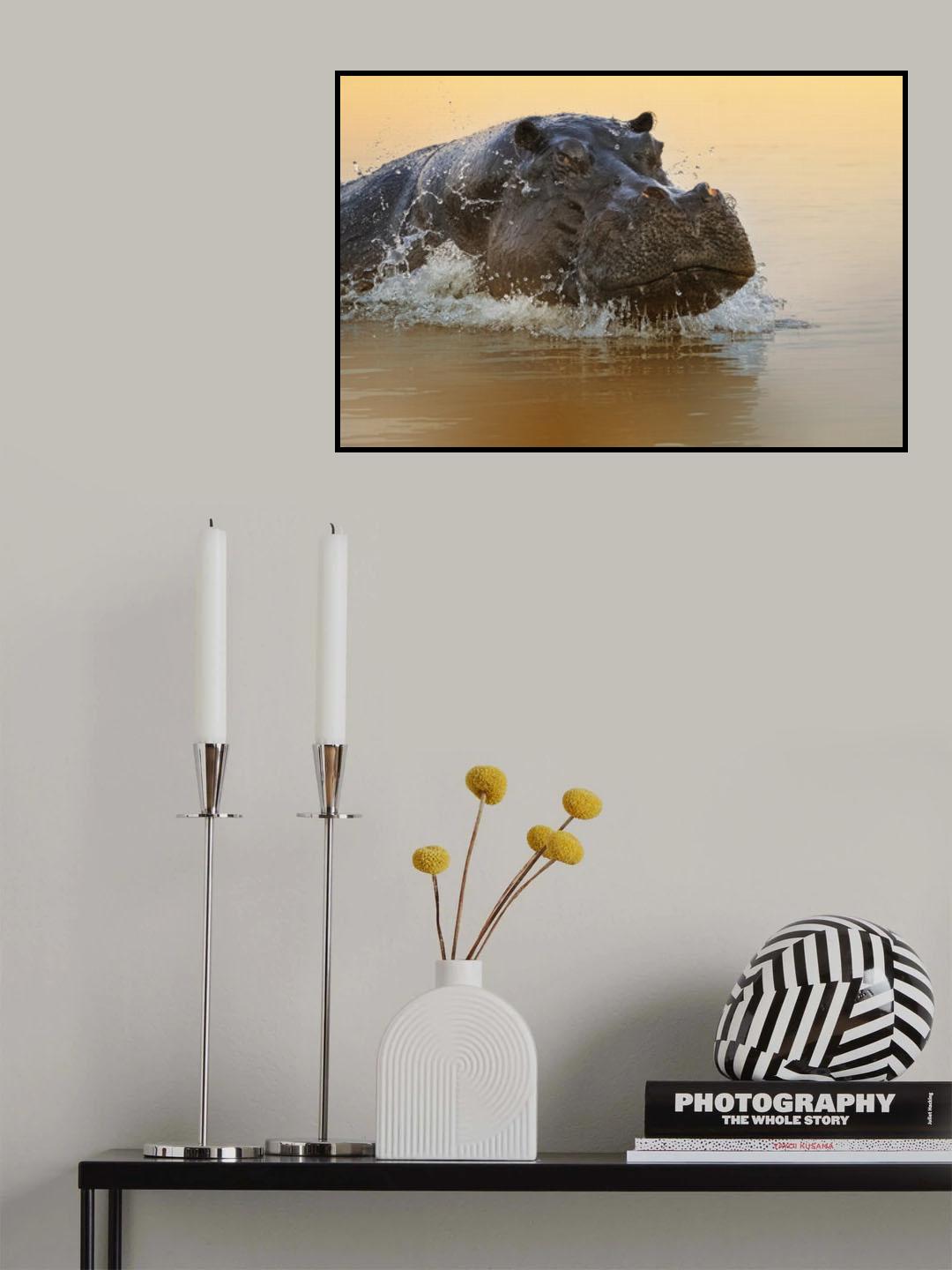 The rise of the hippo Poster och Canvastavla