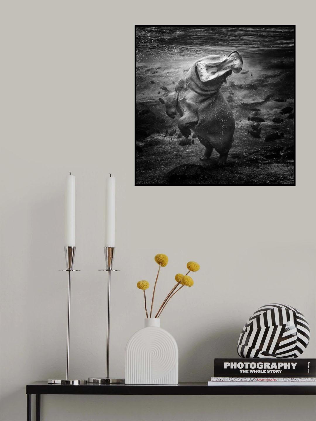 HIPO Poster och Canvastavla
