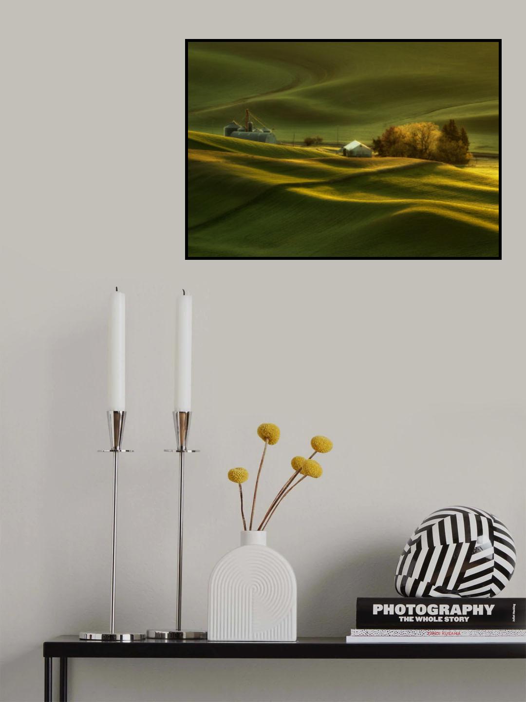 Spring Wheat Fields at Palouse Poster och Canvastavla