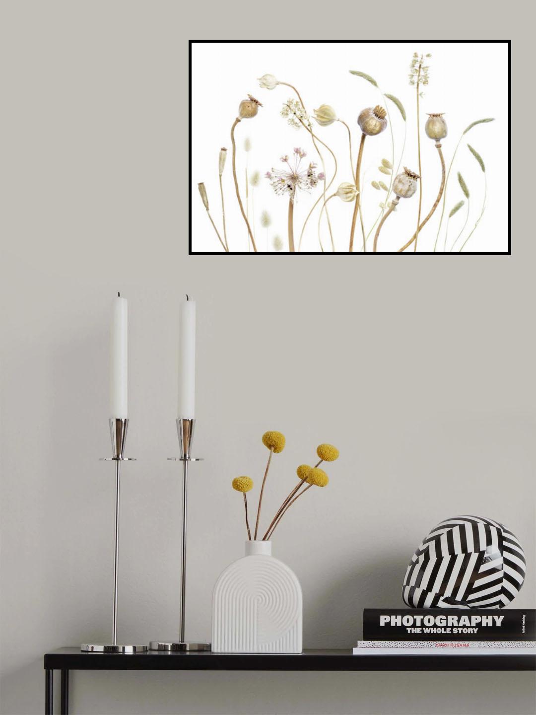 Pods Poster och Canvastavla