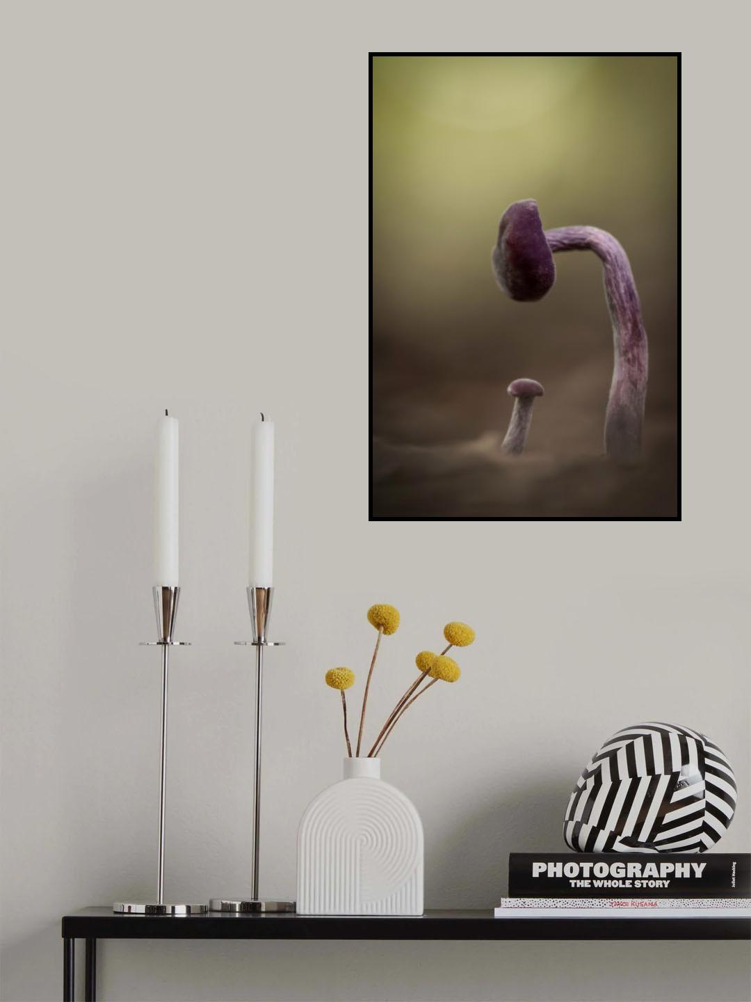 What have you done Poster och Canvastavla