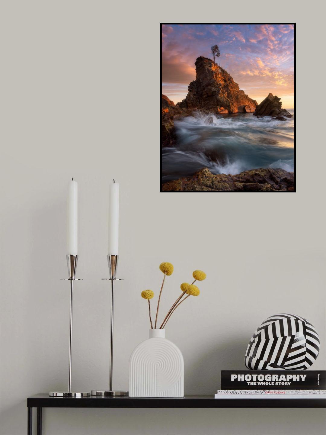 One Tree, Cuttagee Beach Poster och Canvastavla