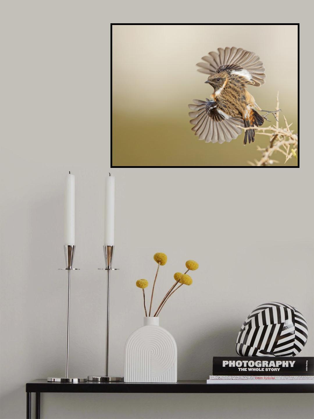 Stonechat Poster och Canvastavla