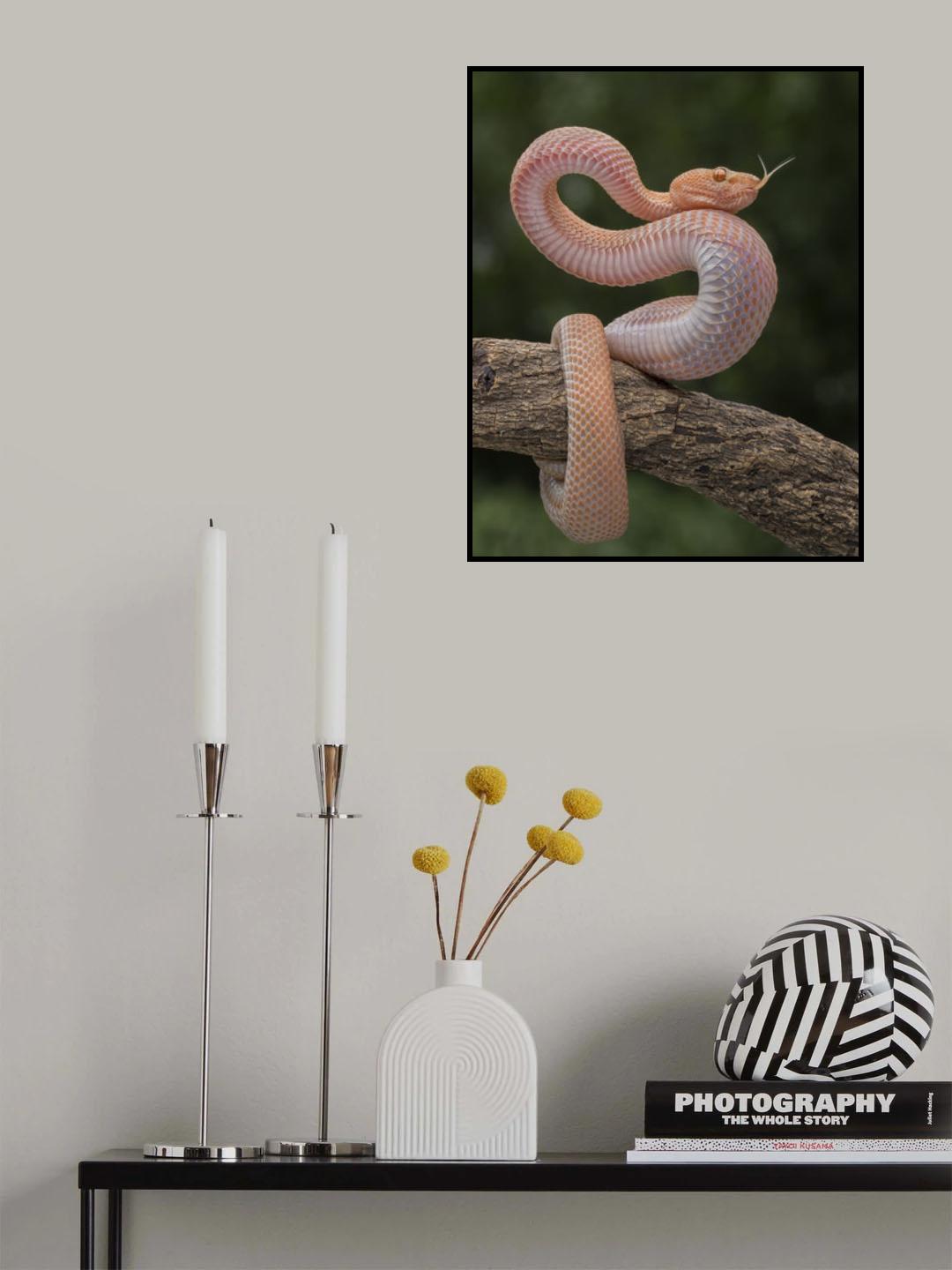 Defense Poster och Canvastavla