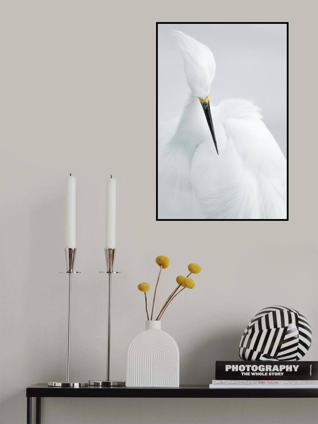 White beauty Poster och Canvastavla