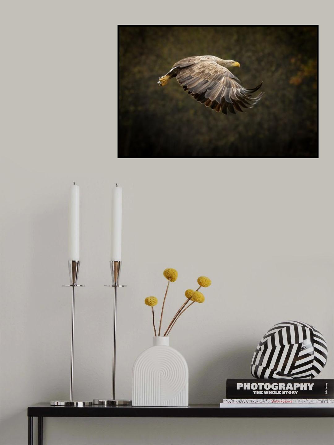 Gandalf eagle Poster och Canvastavla