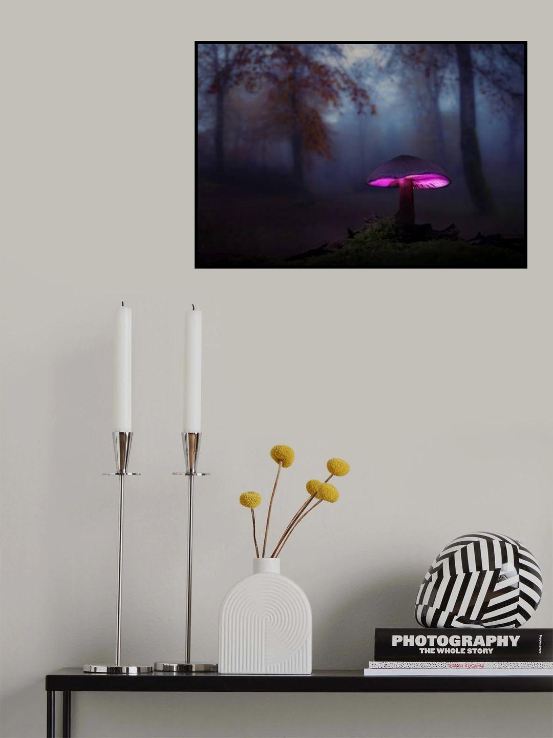 The mushrooms of the forest 06 Poster och Canvastavla