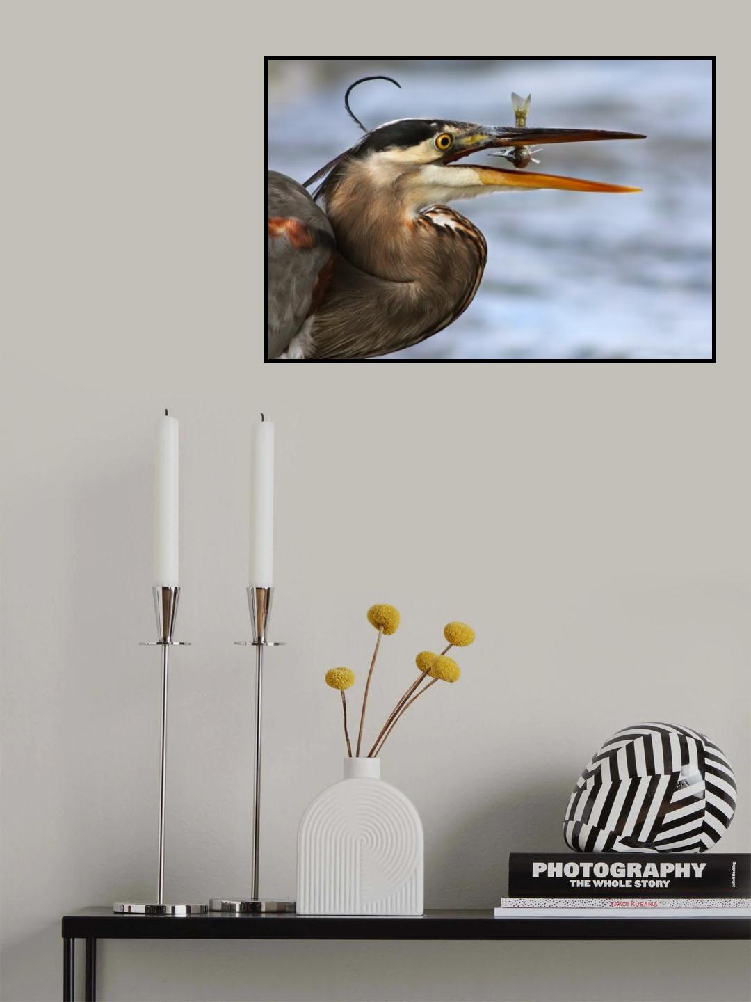 The little fish Poster och Canvastavla